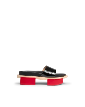 Cap Ferret Slides
